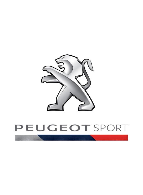 Peugeot 308 Racing Cup